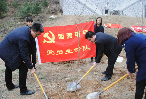 “春動西馳 綠滿秦嶺”公益植樹活動(圖3)